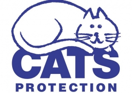 Cats Protection