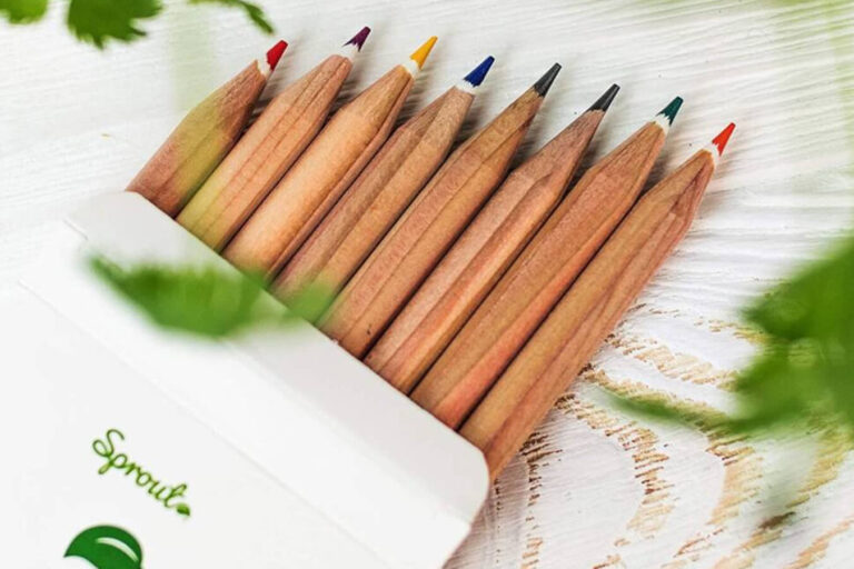 Sprout Case Study Image